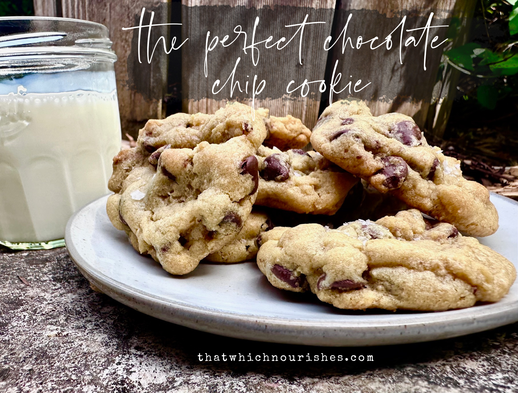 THE Perfect Chocolate Chip Cookie -- The perfect chocolate chip cookie. Enough said. | thatwhichnourishes.com