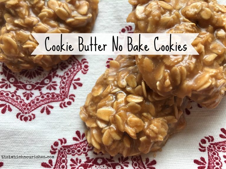 Cookie Butter No Bake Cookies ⋆ That Which Nourishes